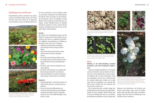 Bio-Schnittblumen-aus-dem-eigenen-Garten